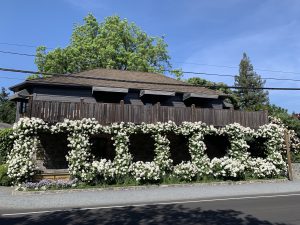 A Night at The French Laundry