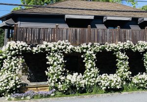 A Night At The French Laundry