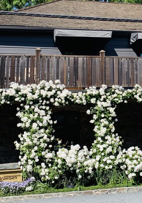 A Night At The French Laundry